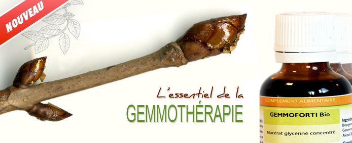 Gemmoth&eacute;rapie aromabio
