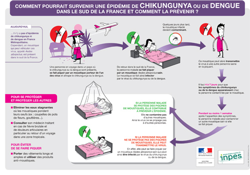 prévention contre la dengue et le chikungunya
