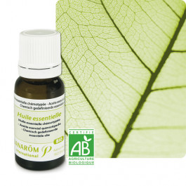 Huiles essentielles Eucalyptus à fl. multiples, à cryptone Bio 10 ml