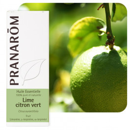 Lime - citron vert