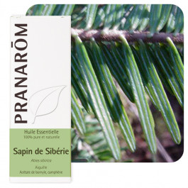 HUILE ESSENTIELLE SAPIN DE SIBÉRIE - 10 mL