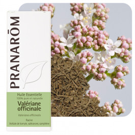 Valériane officinale