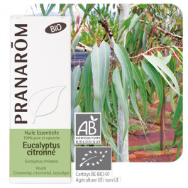 Huile essentielle eucalyptus citronné bio