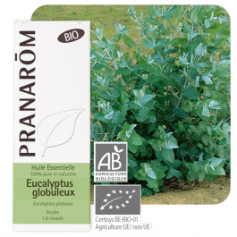 Huile essentielle eucalyptus globuleux bio