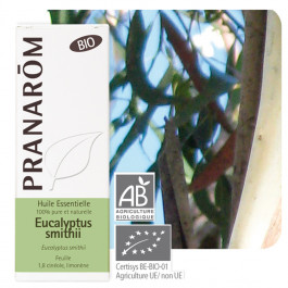 Eucalyptus smithii Bio