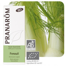 Fenouil Bio