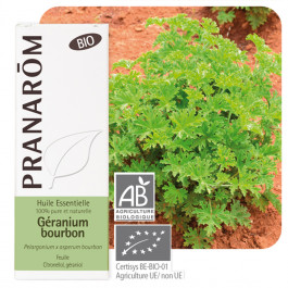 Géranium bourbon Bio