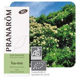 Huile essentielle tea tree bio