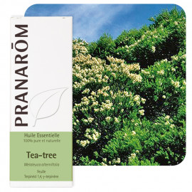 Tea tree
