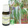 Eucalyptus citronné Bio