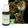 Huile essentielle eucalyptus radié bio