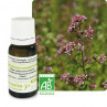 Huile essentielle origan a inflorescences compactes bio