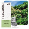 Huile essentielle tea tree bio