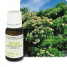 Huile essentielle tea tree