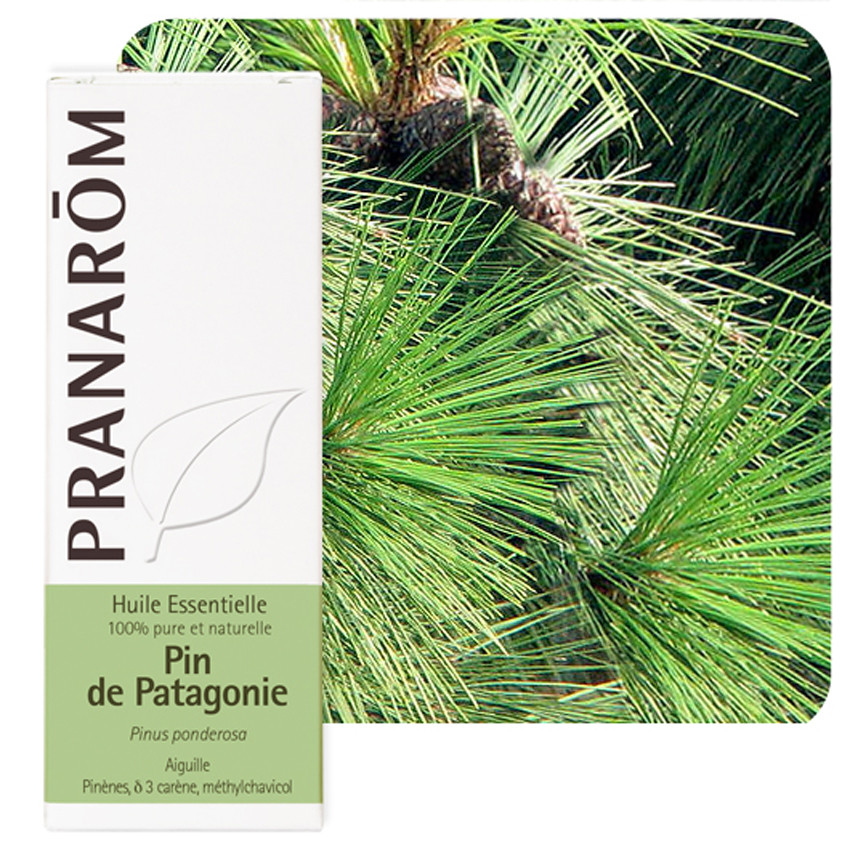 Huile essentielle Pin de Patagonie Pranarom