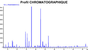 Chromatographie