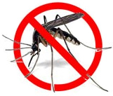 La solution bio anti-piqures par PRANAROM La solution bio anti-piqures par PRANAROM