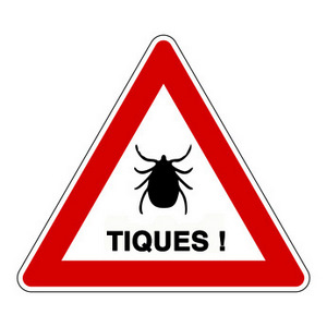 tiques et maladie de Lyme