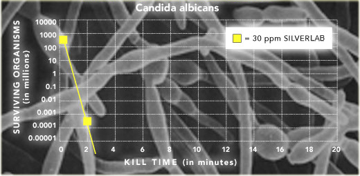 Argent colloïdal lestvica candida albicans