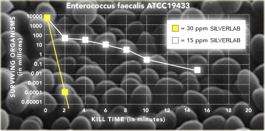 Argent colloïdal lestvica enterococcus faecalis