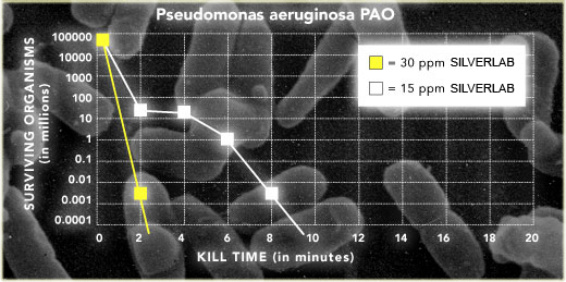 Argent colloïdal lestvica pseudomonas aeruginosa pao