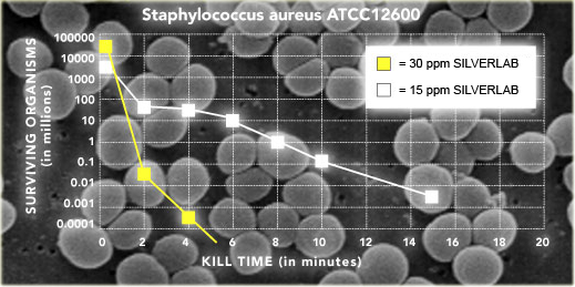 Argent colloïdal lestvica staphylococcus aureus