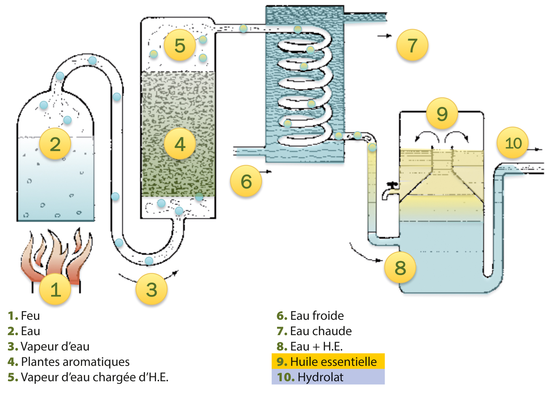 Distillation et production d'eau florale
